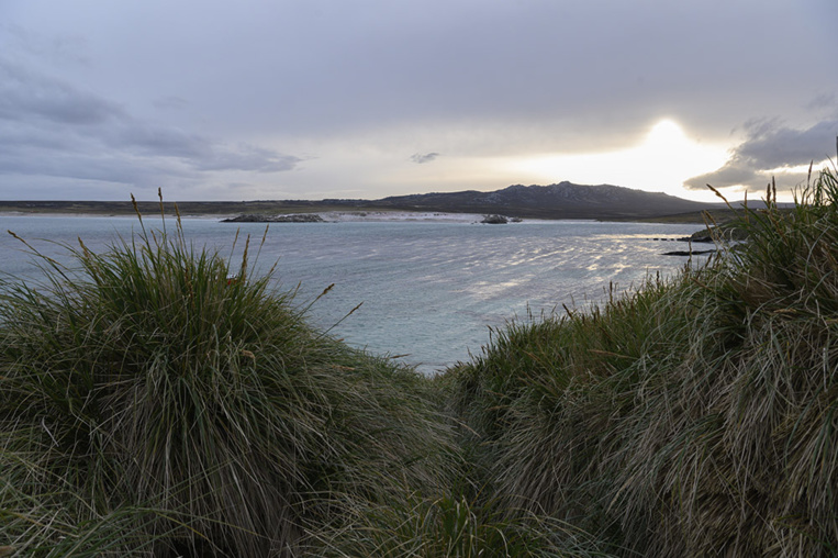 Déjà menacés, les océans en manque d'oxygène