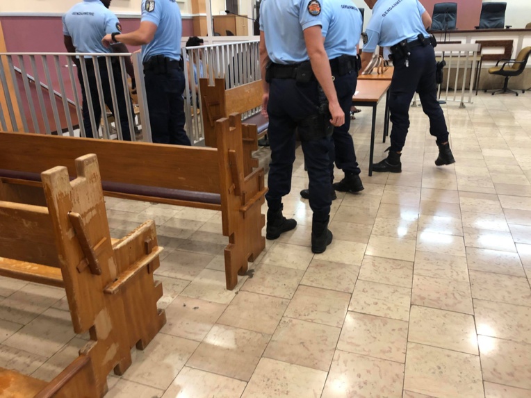 Un an ferme pour 83 plants de paka