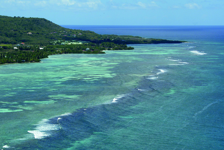 Guadeloupe: une femme égorgée, son conjoint pendu font craindre un féminicide Guadeloupe: une femme égorgée, son conjoint pendu font craindre un féminicide