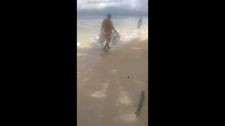 (FB Beli Tautu) (FB Beli Tautu)