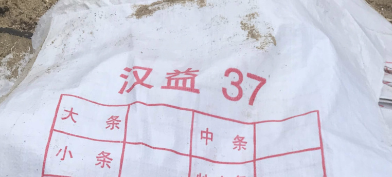 Les sacs de Faaone tombés d’un palangrier chinois Les sacs de Faaone tombés d’un palangrier chinois