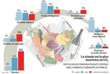 Que pèse le panier des ménages en terme de contenu carbone?