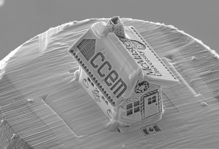 Canada: "la plus petite maison du monde" mesure 10 microns Canada: "la plus petite maison du monde" mesure 10 microns