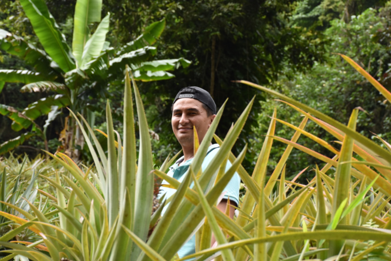 Toarii Estall récolte les fruits de sa passion Toarii Estall récolte les fruits de sa passion