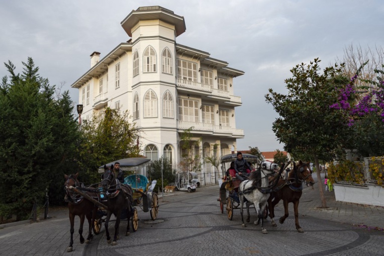 Chevaux maltraités: haro sur les calèches des îles d'Istanbul