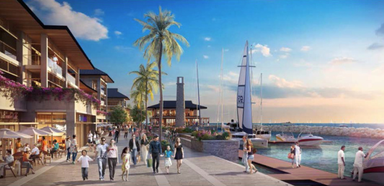 Vue d'illustration (C. TNAD).