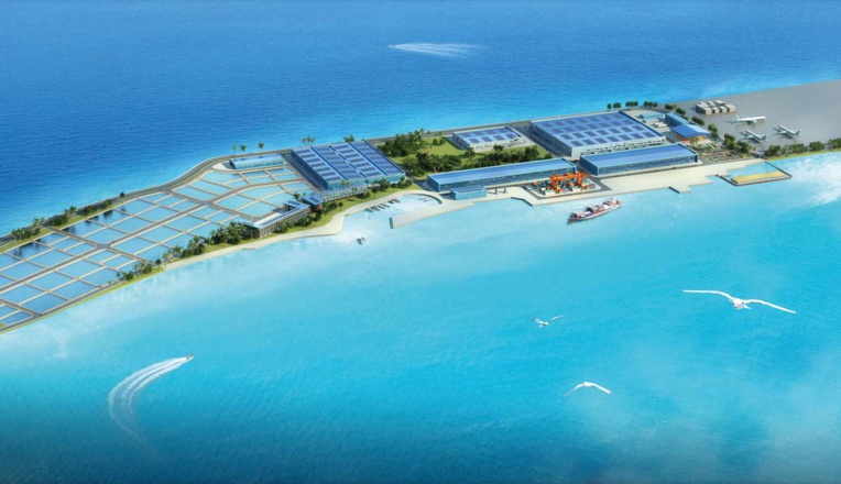 Ce que nous réserve l’année 2020