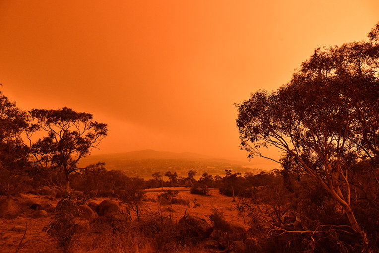 Australie: des stars se mobilisent pour aider les victimes des incendies