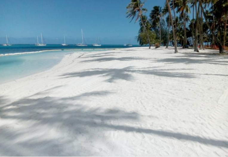 Erosion : Ta'ahiamanu fait plage nette Erosion : Ta'ahiamanu fait plage nette
