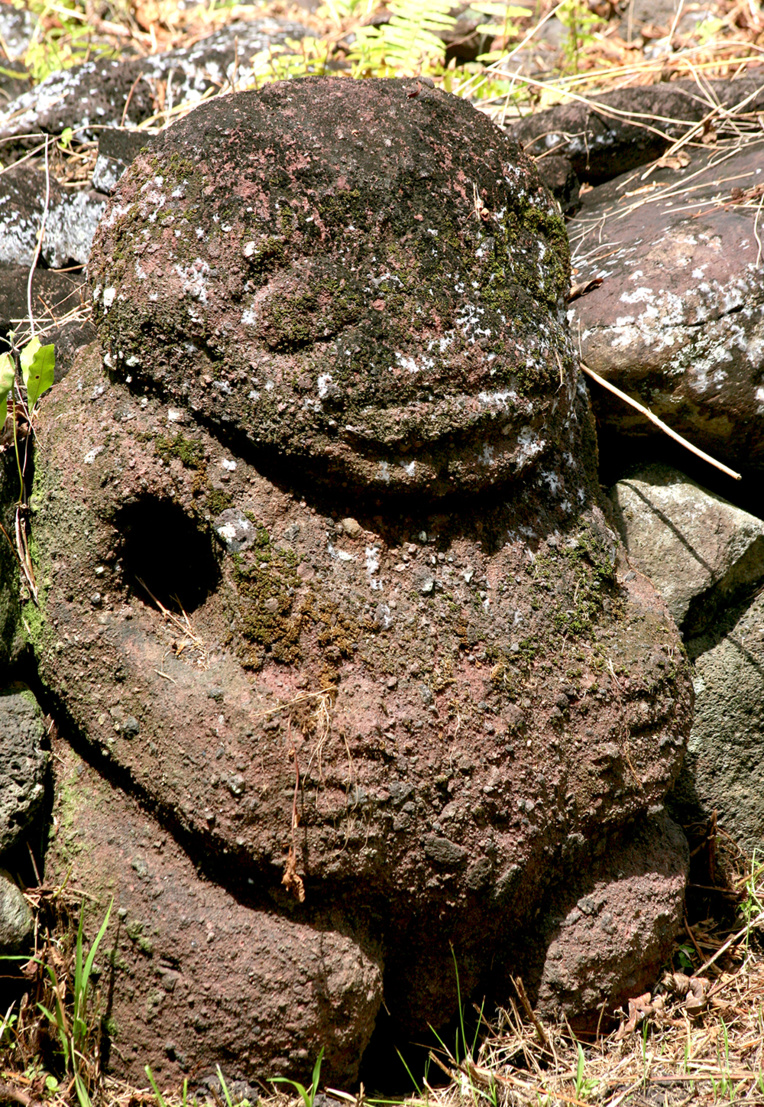 Ce puissant tiki du site de Paeke est travaillé dans du ke’etu, lave rougeâtre très tendre, mais très friable également. Ce puissant tiki du site de Paeke est travaillé dans du ke’etu, lave rougeâtre très tendre, mais très friable également.