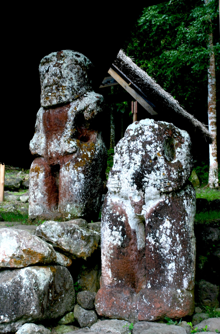 Takaii, le tiki géant de Puamau, est le plus grand tiki ancien de cet archipel. Mesuré, il avoua ce jour-là 2,55m mais une partie de ses pieds serait dans le sol. Takaii, le tiki géant de Puamau, est le plus grand tiki ancien de cet archipel. Mesuré, il avoua ce jour-là 2,55m mais une partie de ses pieds serait dans le sol.