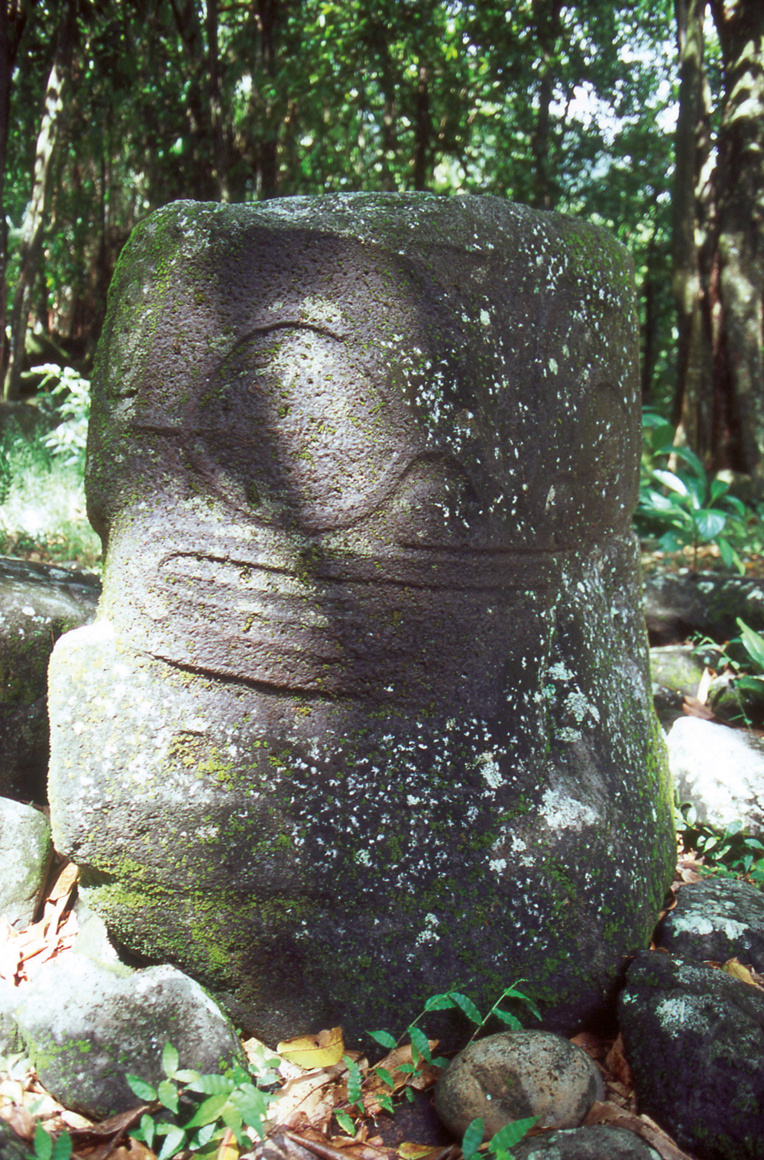 Le grand tiki sur les hauteurs de Taaoa est presque noyé par la forêt le dominant. Nul ne sait qui il était ni quels étaient ses pouvoirs, son « mana ». Le grand tiki sur les hauteurs de Taaoa est presque noyé par la forêt le dominant. Nul ne sait qui il était ni quels étaient ses pouvoirs, son « mana ».