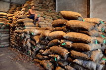 Huilerie de Tahiti : la grève s’enlise