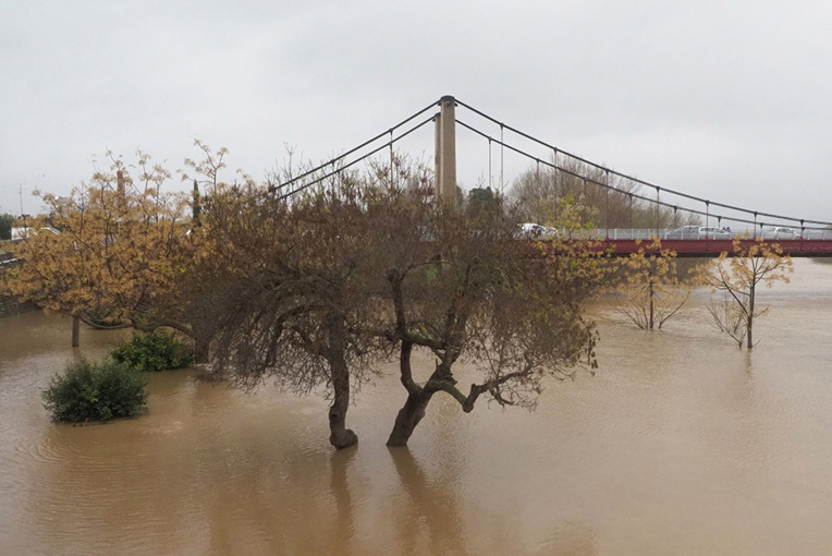 Tempête Gloria dans le sud: près de 2.000 habitants évacués, retour progressif à la normale Tempête Gloria dans le sud: près de 2.000 habitants évacués, retour progressif à la normale