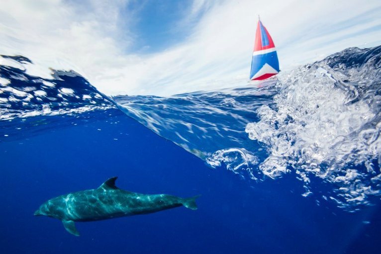 Tahiti Pearl Regatta: Plaisirs variés pour finale en apothéose