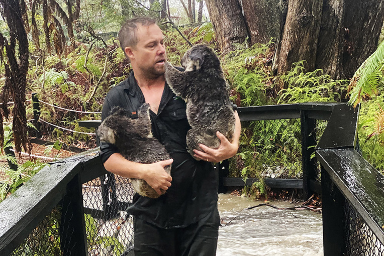 Six nations: les belles promesses du XV de France