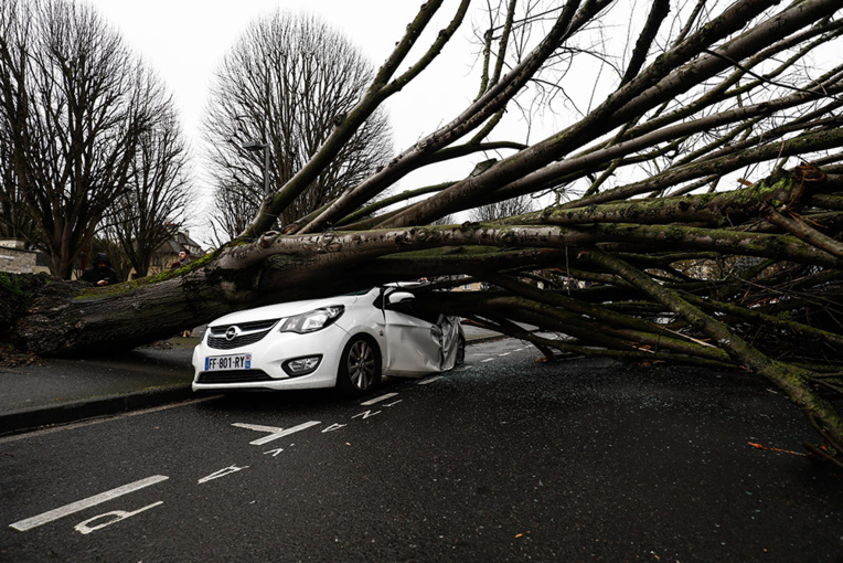 Tempête "Dennis": 20.000 foyers toujours sans électricité en France, selon Enedis