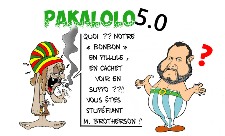 "Le cannabis thérapeutique", par Munoz "Le cannabis thérapeutique", par Munoz