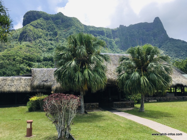 L’ex-Club Bali Hai en quête d’avenir L’ex-Club Bali Hai en quête d’avenir