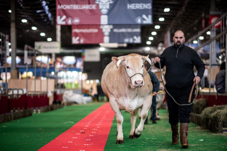 Paris, ville comestible? Porte de Versailles, l'agriculture va sortir du béton