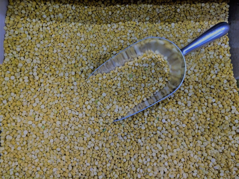 Le pois jaune, nouvelle protéine tendance Le pois jaune, nouvelle protéine tendance