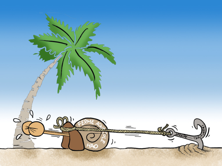 "Le projet aquacole", par Munoz