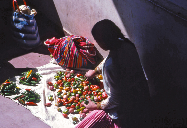 Surgie d'on ne sait où, dans un recoin de l'auberge refuge installée au pied du volcan, une jeune Indienne Aymara vend quelques poivrons et piments, seules touches végétales dans cet univers minéral.