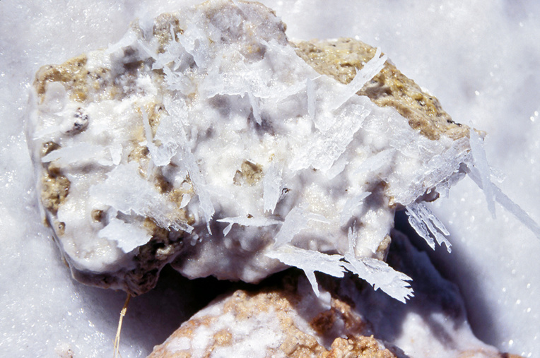 La cristallisation des sels contenus dans les lagunes autour du volcan prend des allures de superbes sculptures modernes. La cristallisation des sels contenus dans les lagunes autour du volcan prend des allures de superbes sculptures modernes.