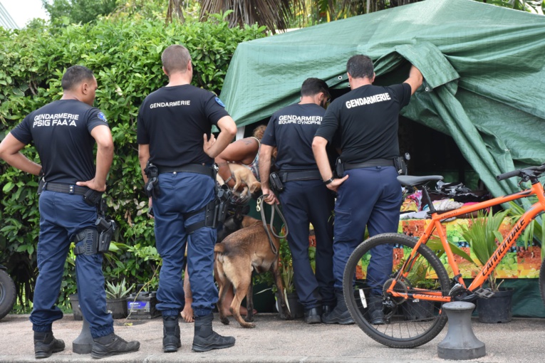 "Continuer à mettre la pression sur les dealers" "Continuer à mettre la pression sur les dealers"