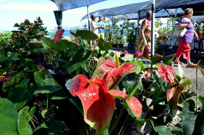 Les 3e Floralies pour composer le jardin de ses désirs