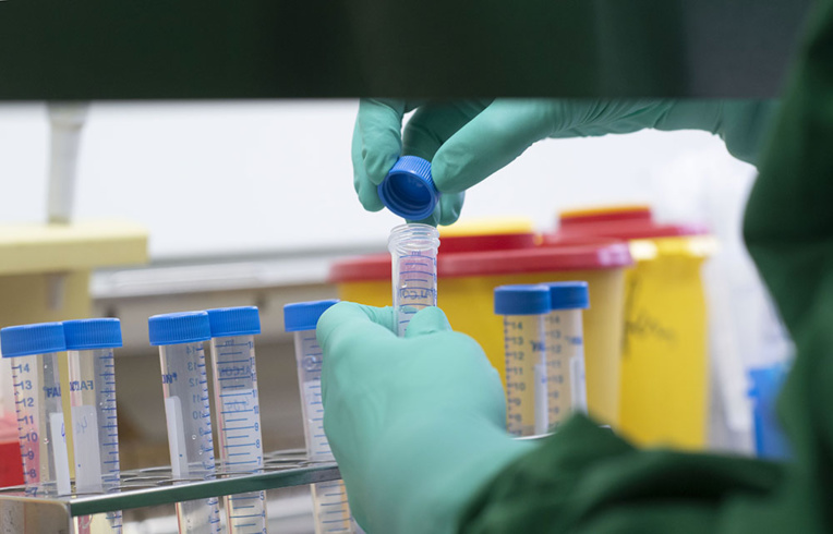 Coronavirus: premiers cas confirmés en Outre-mer, à St-Martin et St-Barth