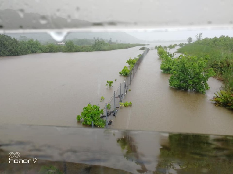 (FB Toerau Candelot)