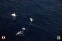 Le Mika Hiti a été remorqué, les marins ont retrouvé leurs familles dans la nuit