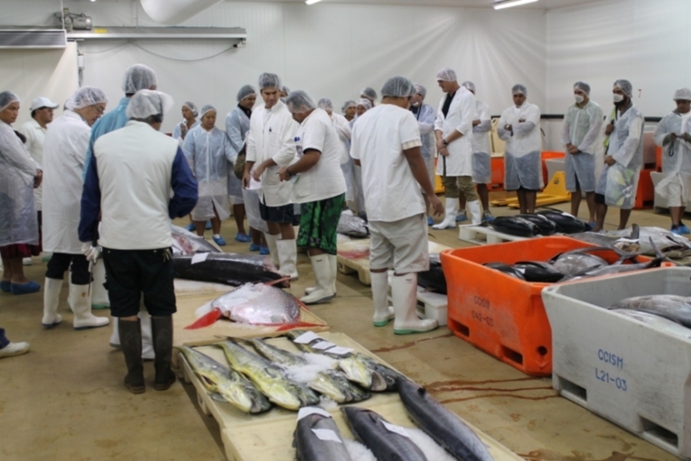 Entre mareyeur et visiteurs la criée a fait le plein.