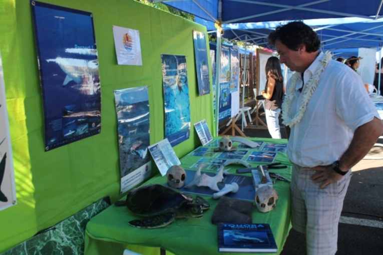 Le ministre de tutelle, Jacky Bryant sensible à la protection des tortues.