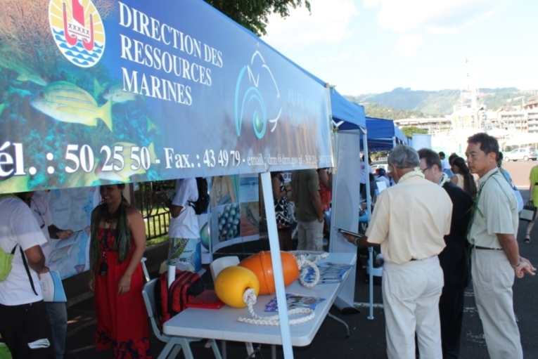 entre réglementation et protection...