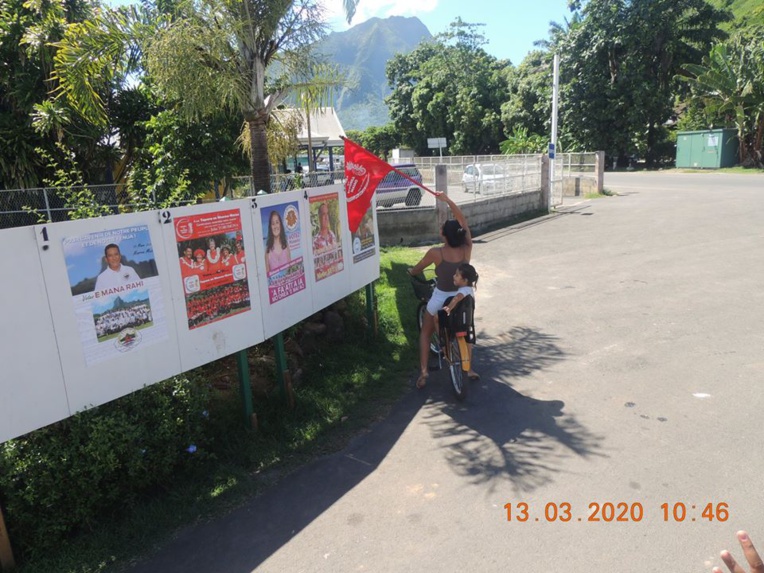 Toromona d’une courte tête à Moorea