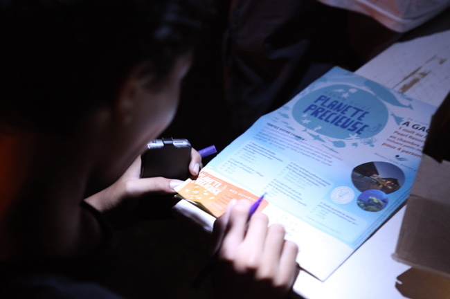 Planète Eco tour: Des centaines de personnes à la projection cinéma en plein air dans les jardins de Paofai