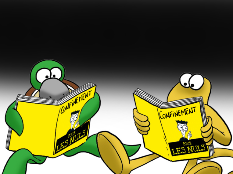 "Le b.a.-ba du confinement", par Munoz