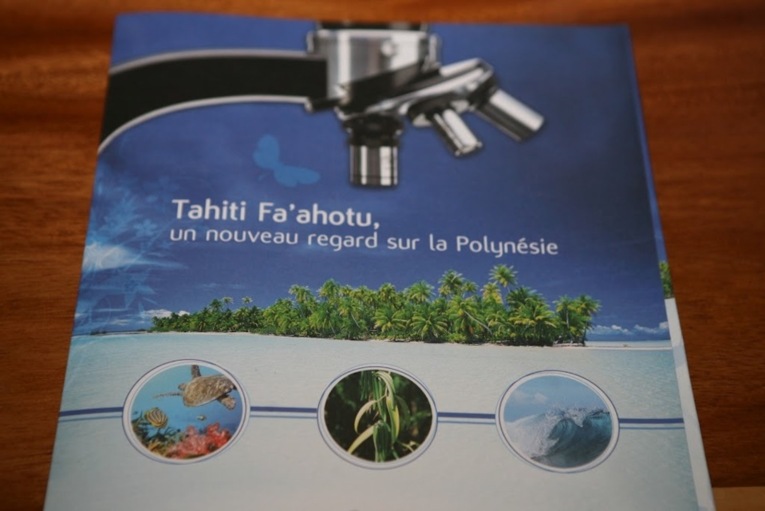 Création d’une pépinière d’entreprise en Polynésie française