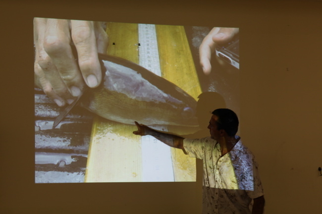 Conférence sur l’anguille à Taravao : Légendes et réalités