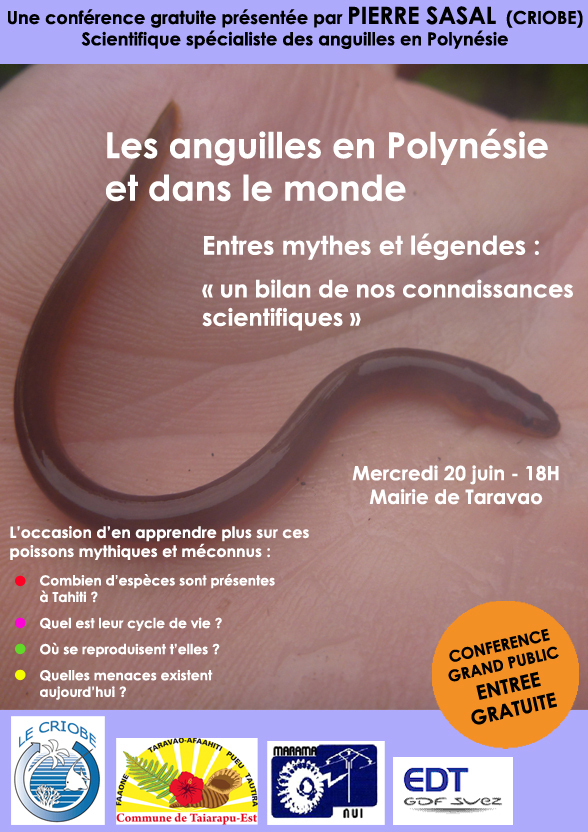 Conférence sur l’anguille à Taravao : Légendes et réalités