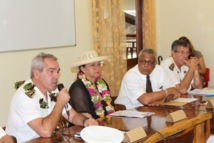 Installation de l’assemblée plénière du Conseil Local de Sécurité et de Prévention de la Délinquance (CLSPD) de Tairapu Est