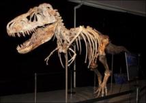 La justice américaine saisit un tyrannosaure mongol de 70 millions d'années