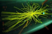 CERN: le chercheur belge à la base du mécanisme de Higgs espère une validation
