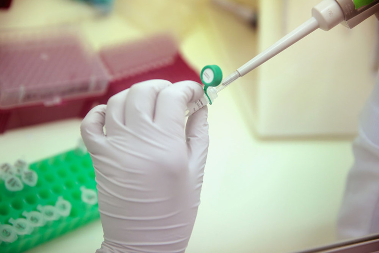 Coronavirus: un vaccin efficace chez le singe, selon un labo chinois