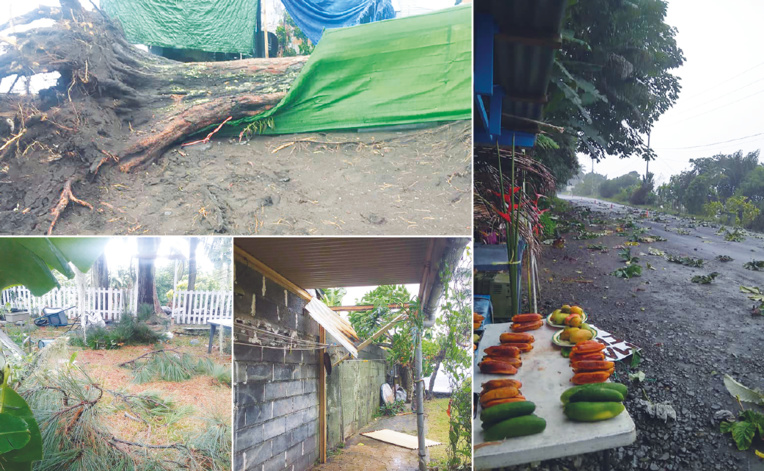 De Mahina à Papeari en passant par Hitia'a, les rafales de vent ont causé de nombreux dégâts. De Mahina à Papeari en passant par Hitia'a, les rafales de vent ont causé de nombreux dégâts.