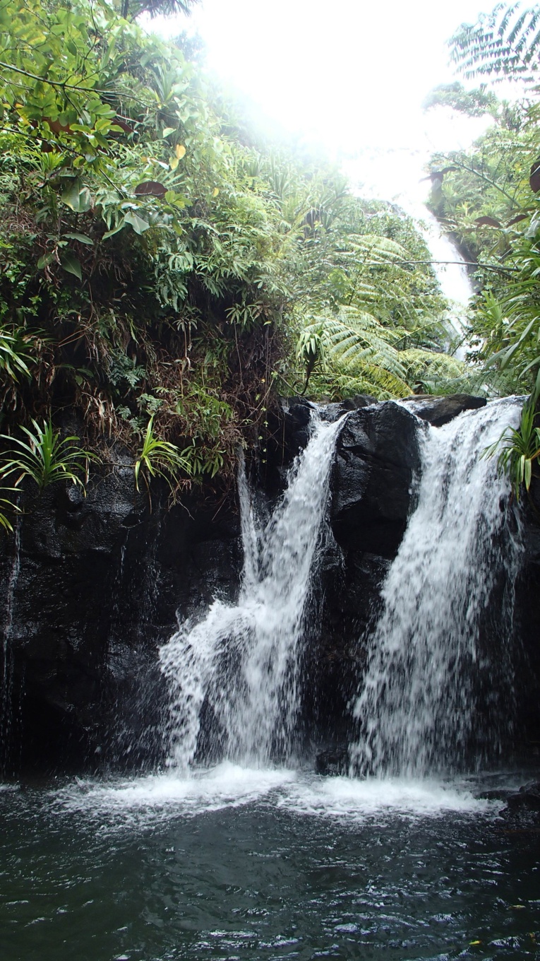 Les dix plus belles randonnées de Tahiti Les dix plus belles randonnées de Tahiti