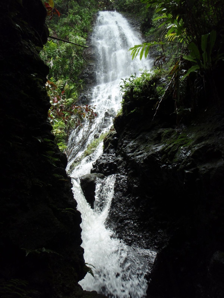 Les dix plus belles randonnées de Tahiti Les dix plus belles randonnées de Tahiti