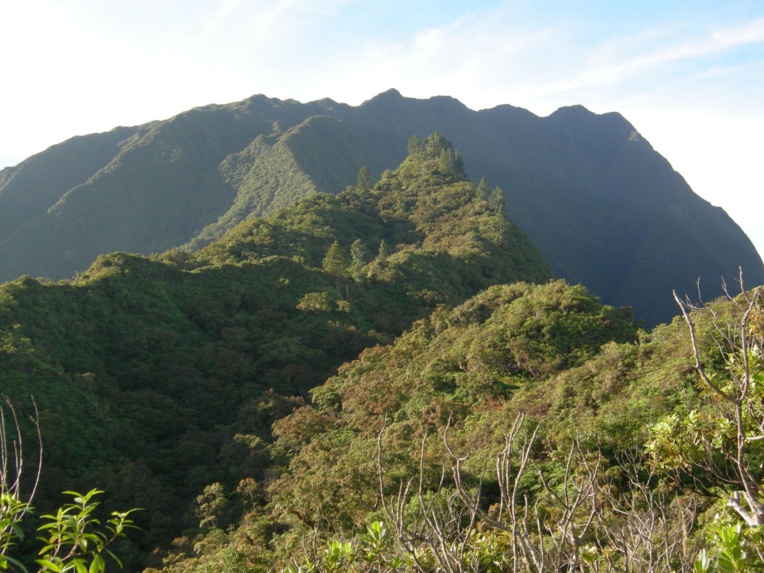 Les dix plus belles randonnées de Tahiti Les dix plus belles randonnées de Tahiti